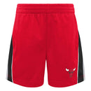 Bulls Basketball Sleeveless Shirt and Shorts Set