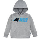 Infant & Toddler Boys Panthers Hoodie