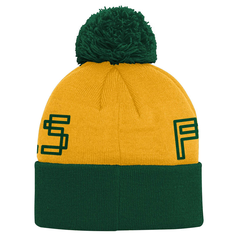 Packers Team Spirit Winter Hat