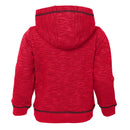 Red Wings Pullover Sweatshirt with Hood