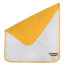 Steelers Newborn Baby Blanket