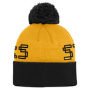 Steelers Team Spirit Winter Hat