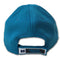 Panthers Team Colors Hat