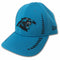 Panthers Team Colors Hat